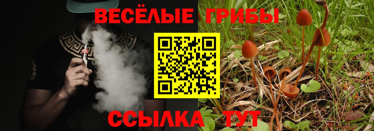 Галлюциногенные грибы мицелий  Вход с VPN  Батайск 