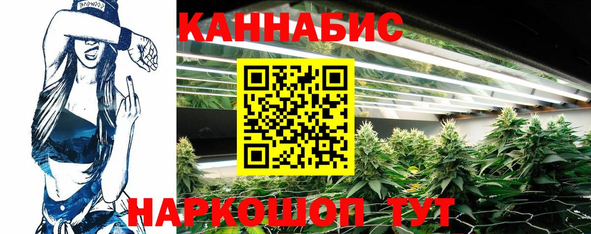 Каннабис Bruce Banner  Шишки марихуана тримм  Вход с VPN  Бошки Шишки тримм  Батайск 